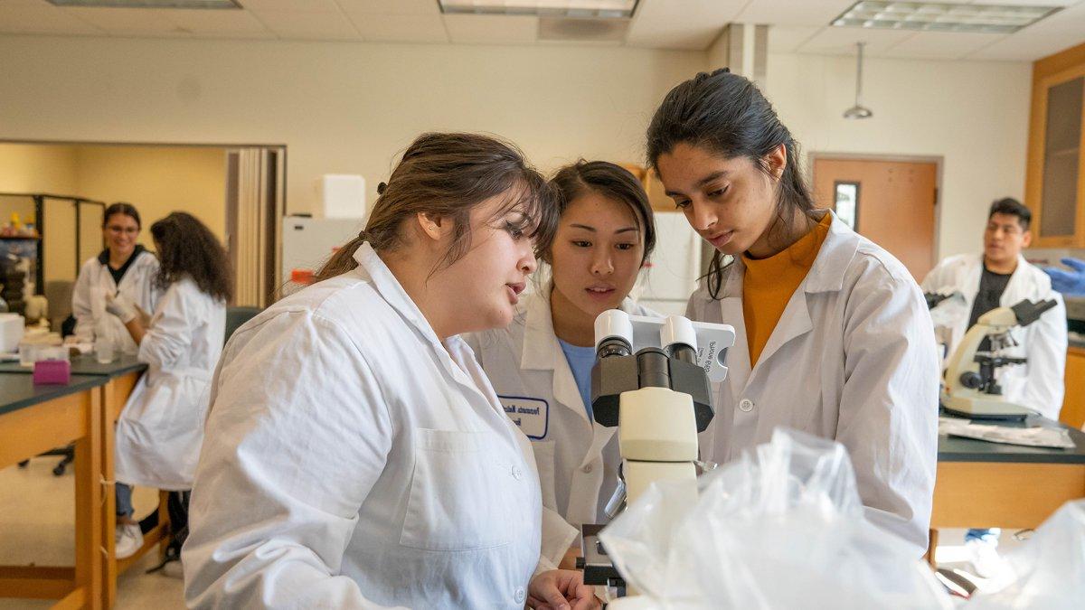 Three students looking at a microscope in a lab class